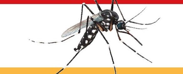 dengue2020