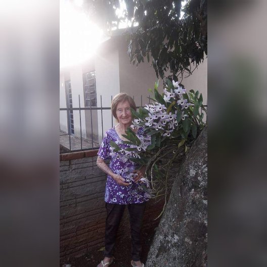 faleceu vitoria