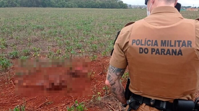 Homem-localiza-corpo-sem-cabeca-e-bracos-no-Parana-00552401-0-202110050747