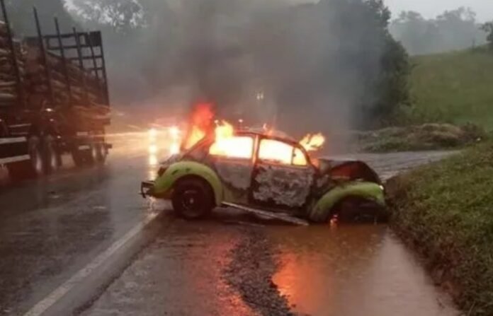 fusca