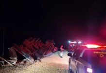 Tombamento de carreta mata motorista de 78 anos em Astorga