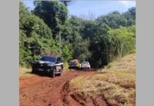 Corpo parcialmente carbonizado é encontrado em área de mata no muncípio de Apucarana
