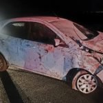 Colisão contra barranco deixa motorista ferida