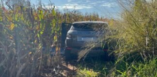 Homem desaparecido é encontrado morto em área rural de Arapongas