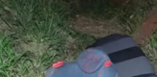 Criança de 4 anos é ejetada com cadeirinha durante capotamento na BR-376 e sobrevive com ferimentos leves