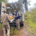 Enxame de abelhas dificulta socorro após capotamento em Apucarana
