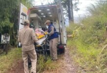 Enxame de abelhas dificulta socorro após capotamento em Apucarana