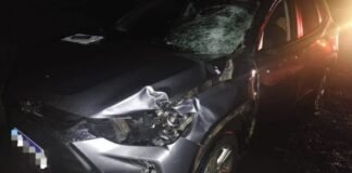 Idoso morre atropelado na PR-444