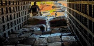 PRF Apreende mais de 4,3t de droga em Maringá