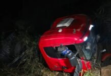 Motorista morre após carreta sair da pista na PR-444