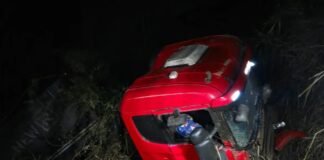 Motorista morre após carreta sair da pista na PR-444