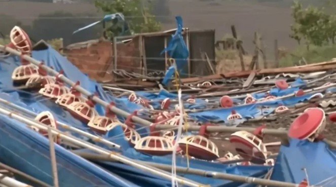 Captura de tela 2026-09-24 092133