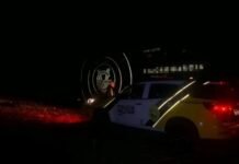 Ônibus interestadual é assaltado durante a madrugada na PR-317, em Floresta