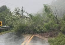 Governo do Estado monitora rodovias estaduais; chuva intensa causa deslizamento em encostas