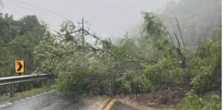 Governo do Estado monitora rodovias estaduais; chuva intensa causa deslizamento em encostas